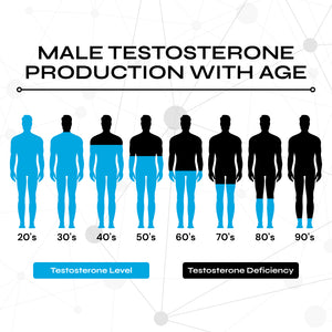 The Male Vitality Stack (Optimized Testosterone + Circulation Support)