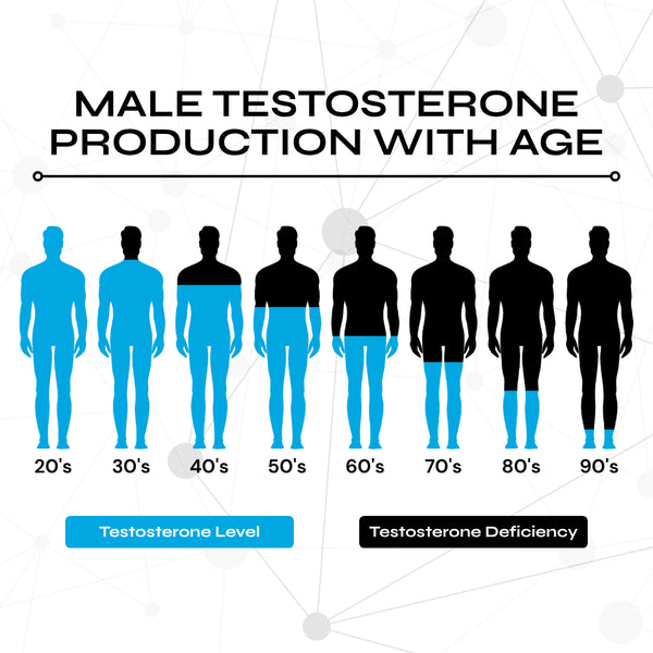 The Male Vitality Stack (Optimized Testosterone + Circulation Support)